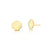 Mini Sea Shell Studs