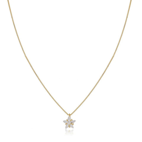 Solitaire Star Necklace